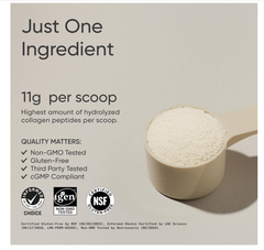 Sports Research Collagen Peptides Powder (16Oz)|Grass-Fed, Certified Paleo Friendly, Non-Gmo And Gluten Free - Unflavored, 1 count, 41 servings (USA)